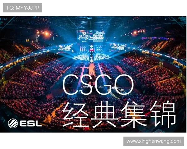 JDG在CSGO比赛中的区域防守策略分析与成效评估 JDG在CSGO比赛中的区域防守策略分析与成效评估