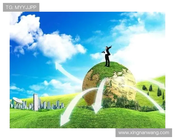 北京羽毛球队阵地战深度解析与未来发展展望