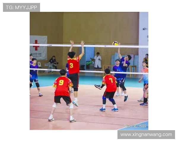 南京排球队实力强劲荣登全国第五名展现出色竞技水平与团队合作精神