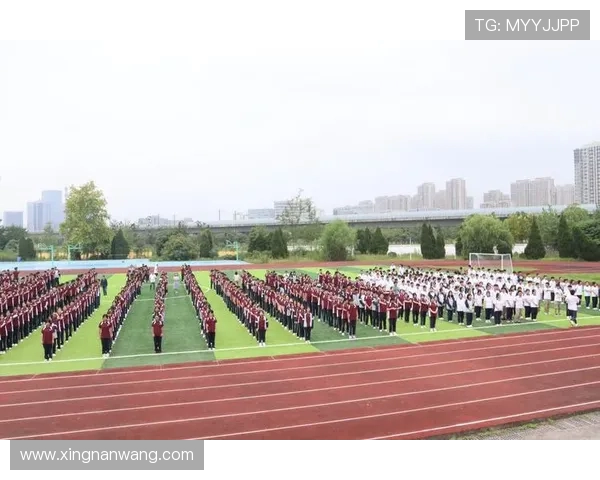 南京极限运动队节奏对比深度解析与发展趋势探讨