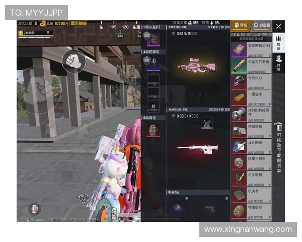 和平精英纪实：见证RNG从新手到冠军的奋斗与荣耀之路