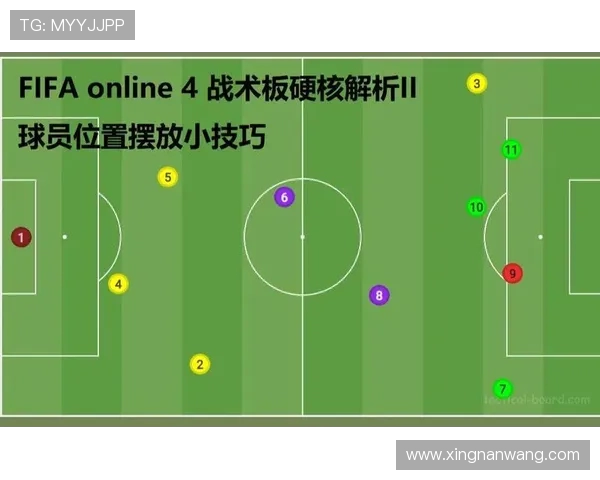 杭州篮球队的战术控制与球队发展深度解读