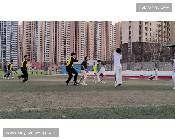 杭州飞盘队比赛经验分析与表现评估的深度研究与探讨 杭州飞盘队比赛经验分析与表现评估的深度研究与探讨