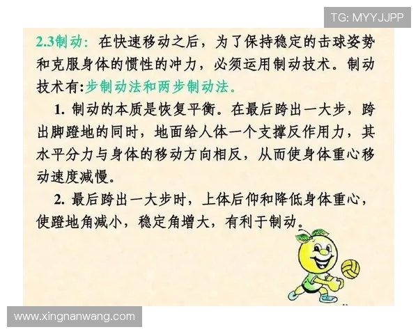 武汉排球队在联赛中的耐力展现与战术分析