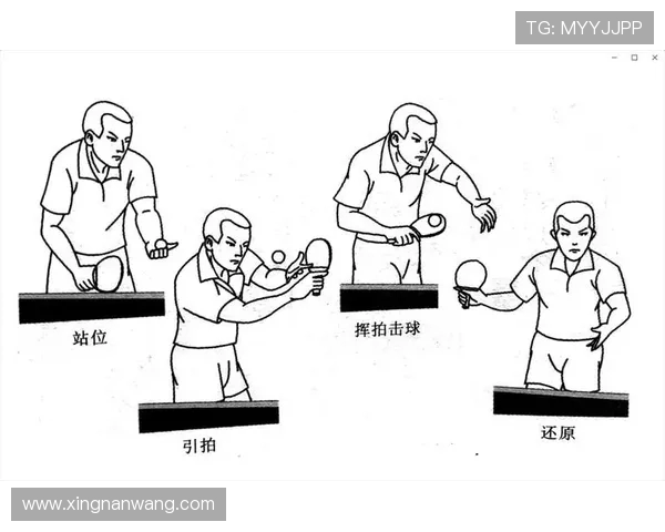 深圳乒乓球队的节奏体系与战术运用探讨