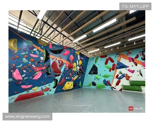 深圳攀岩队转型之路揭秘:从业余爱好到专业竞技的华丽蜕变 深圳攀岩队转型之路揭秘:从业余爱好到专业竞技的华丽蜕变