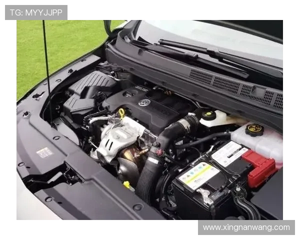 独家解析V5灵活性优势与其他平台的全面对比分析