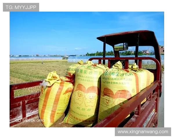 弗格的传奇人生与时代变迁的交织探索