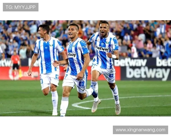 法国与波黑的历史交锋记录分析与战绩回顾