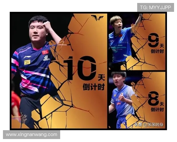 南京乒乓球队的默契配合与战术探讨聚焦乒乓球竞技魅力