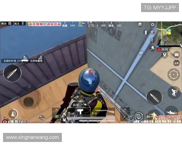 和平精英战术解析：BLG区域防守体系的构建与应用策略