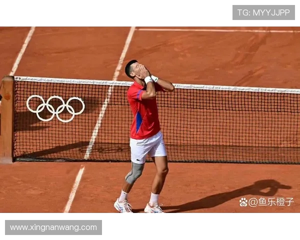 西安网球队实力揭秘：网球巨献背后的故事与成就