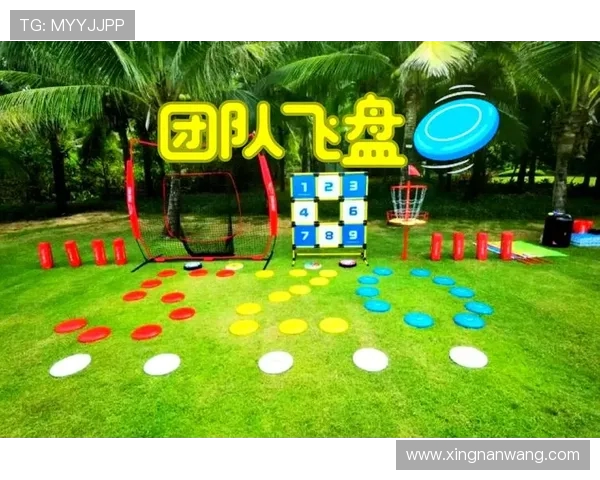 飞盘竞技新风潮：深入探讨北京飞盘队的速度与技巧