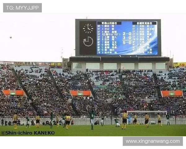 成都排球队耐力提升之路引发热议与关注