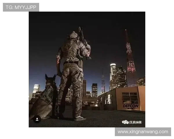 深圳滑板队防守战术深度分析与策略解读